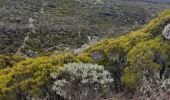 Excursión Senderismo Cilaos - le bloc piton des neiges - Photo 16