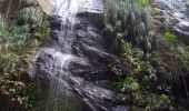 Excursión Senderismo Le Prêcheur - Cascade Couleuvre - Photo 8