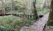 Randonnée Marche Bort-les-Orgues - Barrage de Bort les Orgues - Château de Val - Photo 3