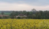 Tocht Stappen Château-Garnier - Château-Garnier  - Photo 2