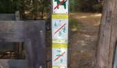 Trail Walking Maasmechelen - Mechelse Heide  - Photo 4