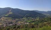 Tour Wandern Büssing - 11-08-24 Larcenaire : chalet croix de Fresse, chalet Peut Haut, chalet Rochelotte,  - Photo 2