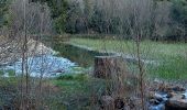 Randonnée Marche Pégairolles-de-Buèges - seranne, pontel, pegairolles de bueges, et source de la bueges - Photo 1