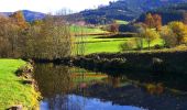 Tour Zu Fuß Elzach - Elztalweg - Photo 3