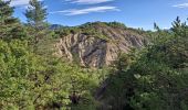 Tour Wandern Vitrolles - Pic de Crigne - Photo 5