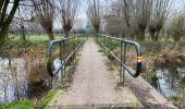 Trail Walking Sint-Niklaas - Sinaai 23 km - Photo 8