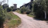 Trail On foot Petersberg - Brachwitzer Alpen - Photo 2