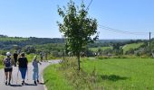 Tour Wandern Dalhem - 20240805 - AUBIN-NEUFCHATEAU 7 Km - Photo 19