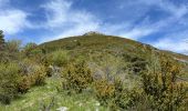 Trail Walking Castellane - Chasteuil - Cadières de Brandis - Photo 10