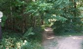 Trail Walking Walcourt - Fraire 290722 - Photo 13