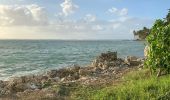 Percorso Sentiero Sainte-Anne - Le littoral  - Photo 3