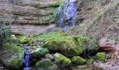 Excursión A pie Erlenbach (ZH) - Erlenbach Schiff - Maur Schifflände - Photo 3