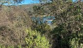 Tour Wandern Les Adrets-de-l'Estérel - Lac saint Cassien 83 - Photo 2