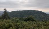 Excursión Senderismo Orcines - Goules Sarcoui Chaumont - Photo 6