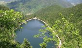 Randonnée Marche La Bresse - SityTrail - Le Lac des Corbeaux - La Bresse - Photo 4