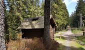 Tour Wandern Forbach - Rote Lache - Lac Schwarzenbachstausee - Badener Höhe (Rother n°39) - Photo 20