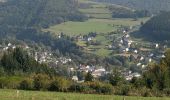 Tour Zu Fuß Park Hosingen - circuit Auto-pédestre Wahlhausen - Photo 5