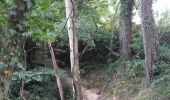 Trail Walking Dinant - Sentier des crêtes - Falmignoul  - Photo 10