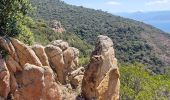 Tour Zu Fuß Ajaccio - Sentier des Crêtes Ajaccio et Grotte Napoléon - Photo 13