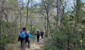 Trail Walking Crestet - 2024-04-10  - Photo 5