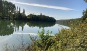 Trail Mountain bike Fontainebleau - Fontainebleau  - Photo 5