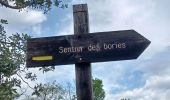 Trail Walking Châteauneuf-Val-Saint-Donat - CHÂTEAU NEUF VAL SAINT DONAT. Circuit des bories o l s - Photo 5