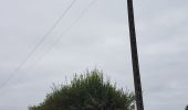 Trail Walking Rennepont - maranville - Photo 16