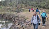 Tour Wandern Mandelieu-la-Napoule - 