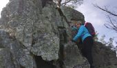 Trail Walking Saint-Alban-d'Ay - la roche des vents  - Photo 3