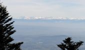 Trail Walking Saint-Alban-d'Ay - la roche des vents  - Photo 4