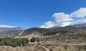 Tocht Te voet Sulmona - Tratto Sulmona - Campo di Giove - Photo 8