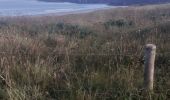 Excursión Senderismo Le Conquet - Le conquet blancs sablons Trezien - Photo 19