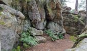 Tocht Stappen Fontainebleau - Fontainebleau Sentier Denecourt 1 prolongé - Photo 17