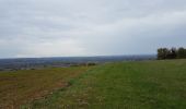 Tour Wandern Clermont-Soubiran - Coteaux depuis maison Roiatti  - Photo 7