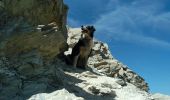 Tocht Stappen Valloire - Pointes des Cerces, départ du Montet  - Photo 3