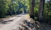 Tocht Stappen Chenonceaux - etang des jumeaux  - Photo 3