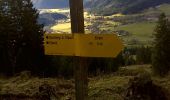 Trail On foot Fischbachau - Steingrabner - Alm - Wirtsalm - Bad Feilnbach - Photo 6