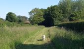 Tour Wandern Englefontaine - Englefontaine. Lisière Mormal  - Photo 6