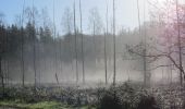 Tour Zu Fuß Ede - Buunderkamp - Rode pijl - Photo 4