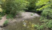 Tocht Stappen Entrelacs - Tour d’albens - Photo 5