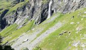 Randonnée Marche Peisey-Nancroix - Cascade de Nan Putors - Photo 5