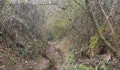 Trail Walking Sprimont - dolrmbreux . hayen . hautgne . dolembreux  - Photo 10
