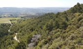 Trail Walking Piégon - petit sentier des géants par les cretes - Photo 1