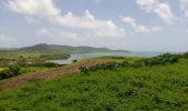 Tocht Stappen La Trinité - boucle pointe rouge - anse spourtoune - Photo 1