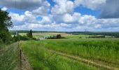 Tocht Stappen Havelange - Havelange 110624 - Photo 18