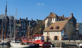 Tocht Stappen Deauville - Deauville Honfleur - Photo 1