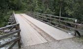 Tour Wandern Vallouise-Pelvoux - Cascade de la Pisse et pont des places - Photo 18