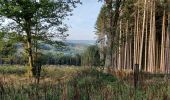 Tour Wandern Nassogne - Nassogne 070921 - Photo 9