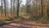 Randonnée Marche Vieux-Moulin - en forêt de Compiègne_25_les Tournantes du Mont Saint-Pierre - Photo 14