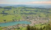 Tocht Te voet Küssnacht (SZ) - Seebodenalp - Altruodisegg - Holderen - Seebodenalp - Photo 1